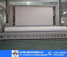 天津長(zhǎng)絲聚酯胎 長(zhǎng)絲聚酯胎廠 山東海王 推薦商家