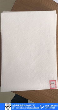 長(zhǎng)絲聚酯胎廠家 山東海王 眉山長(zhǎng)絲聚酯胎